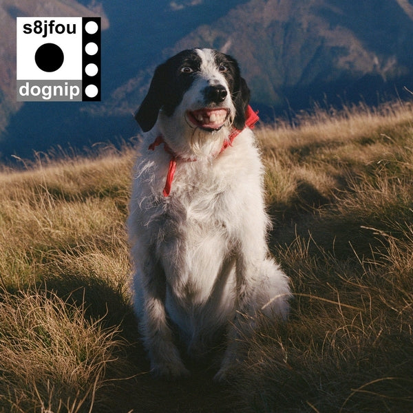 Dognip |