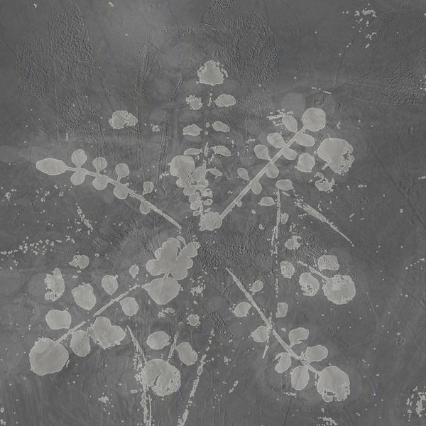 Music For Melted Floors |