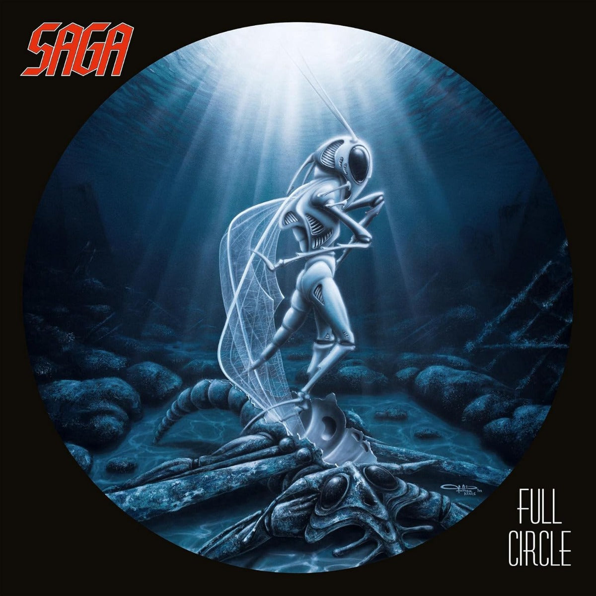 Full Circle (Remastered, 180 Gram Vinyl) |