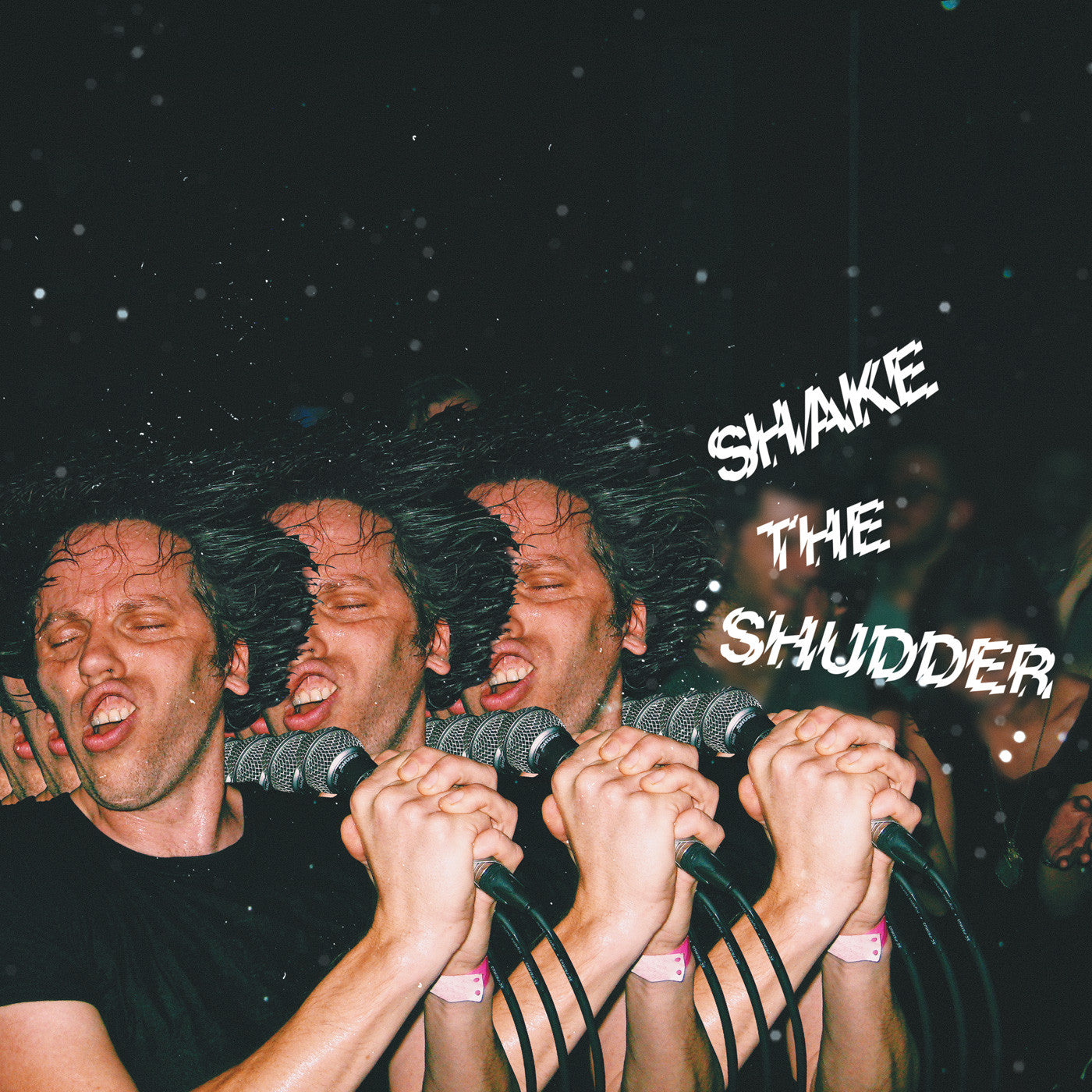 !!! (Chk Chk Chk) - Shake The Shudder (CD) |