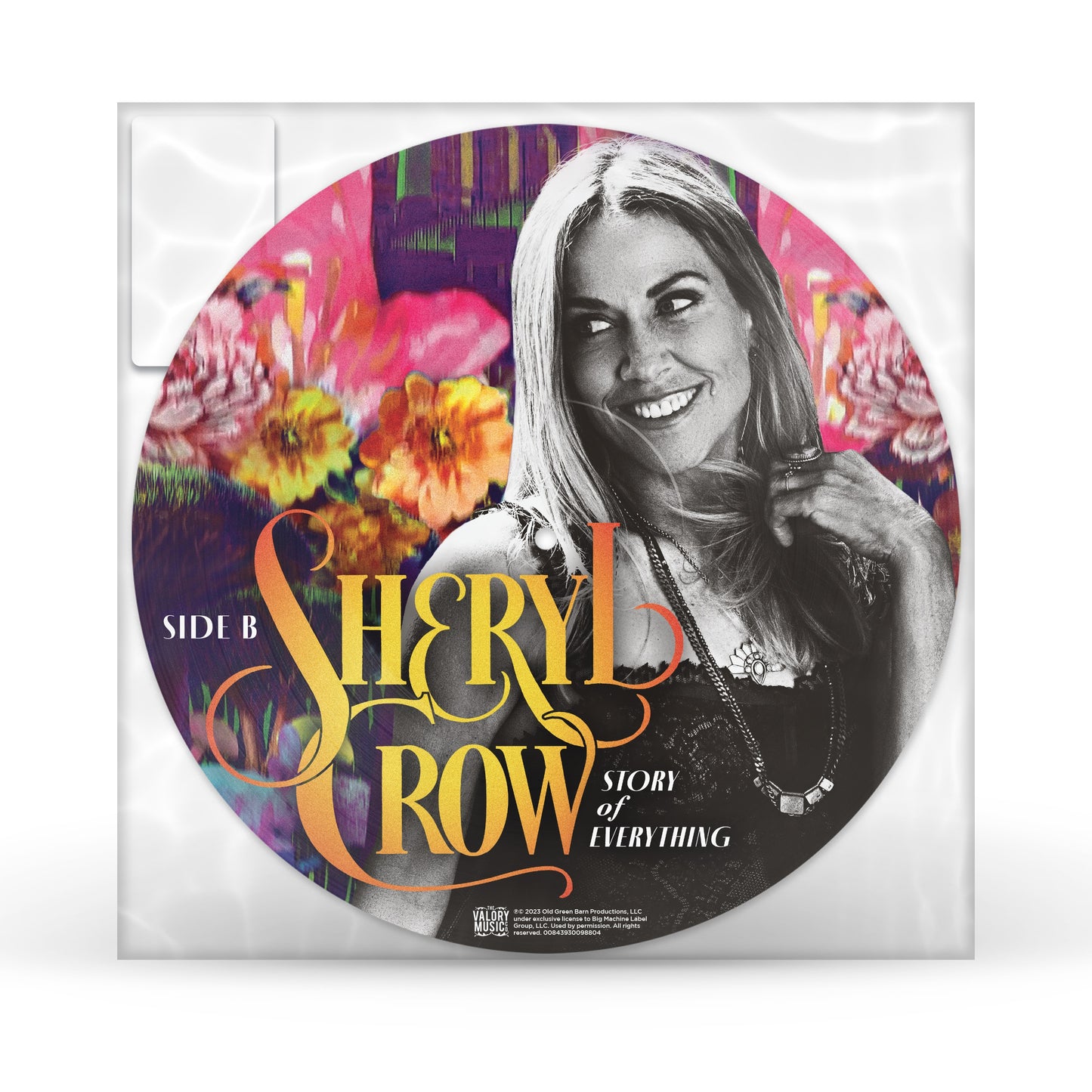Story Of Everything (Picture Disc) | Mint (M) Mint (M) - ROCK *PICTURE DISC*