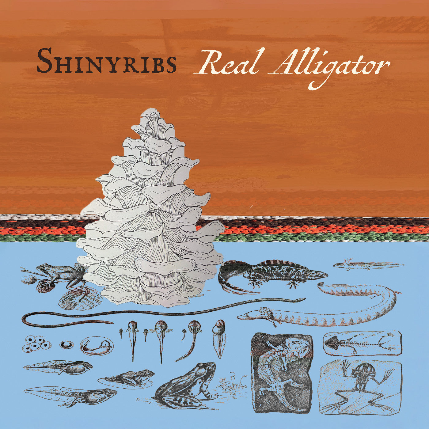 Shinyribs - Real Alligator |