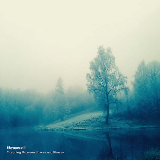 Morphing Between Spaces and Phases (VINYL + CD) | Mint (M) Mint (M) - EXPERIMENTAL *NEW*