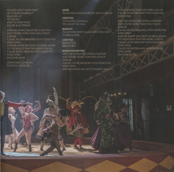The Greatest Showman (Original Motion Picture Soundtrack) (CD) | Near Mint (NM) Near Mint (NM) - SOUNDTRACK / USED *NEAR MINT*