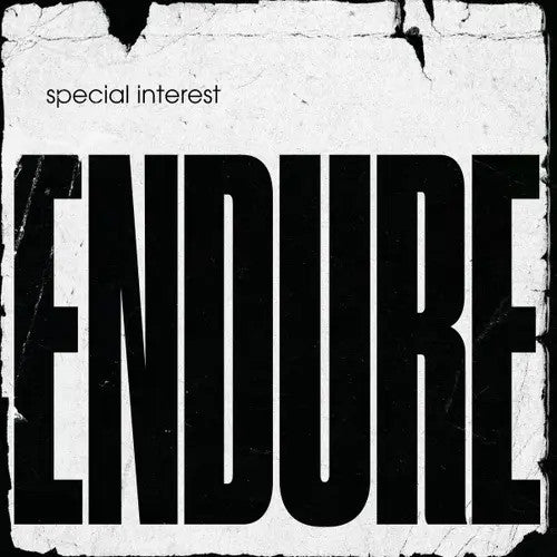 Endure | Mint (M) Mint (M) - POST PUNK *NEW*