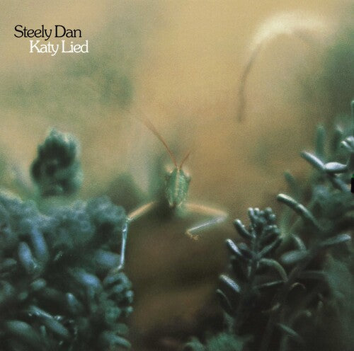 Katy Lied (180 Gram Vinyl) | Mint (M) Mint (M) - ROCK *SEALED*