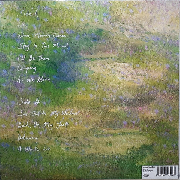 Sun Outside My Window | Mint (M) Mint (M) - ALT/INDIE *SEALED/COLOR*