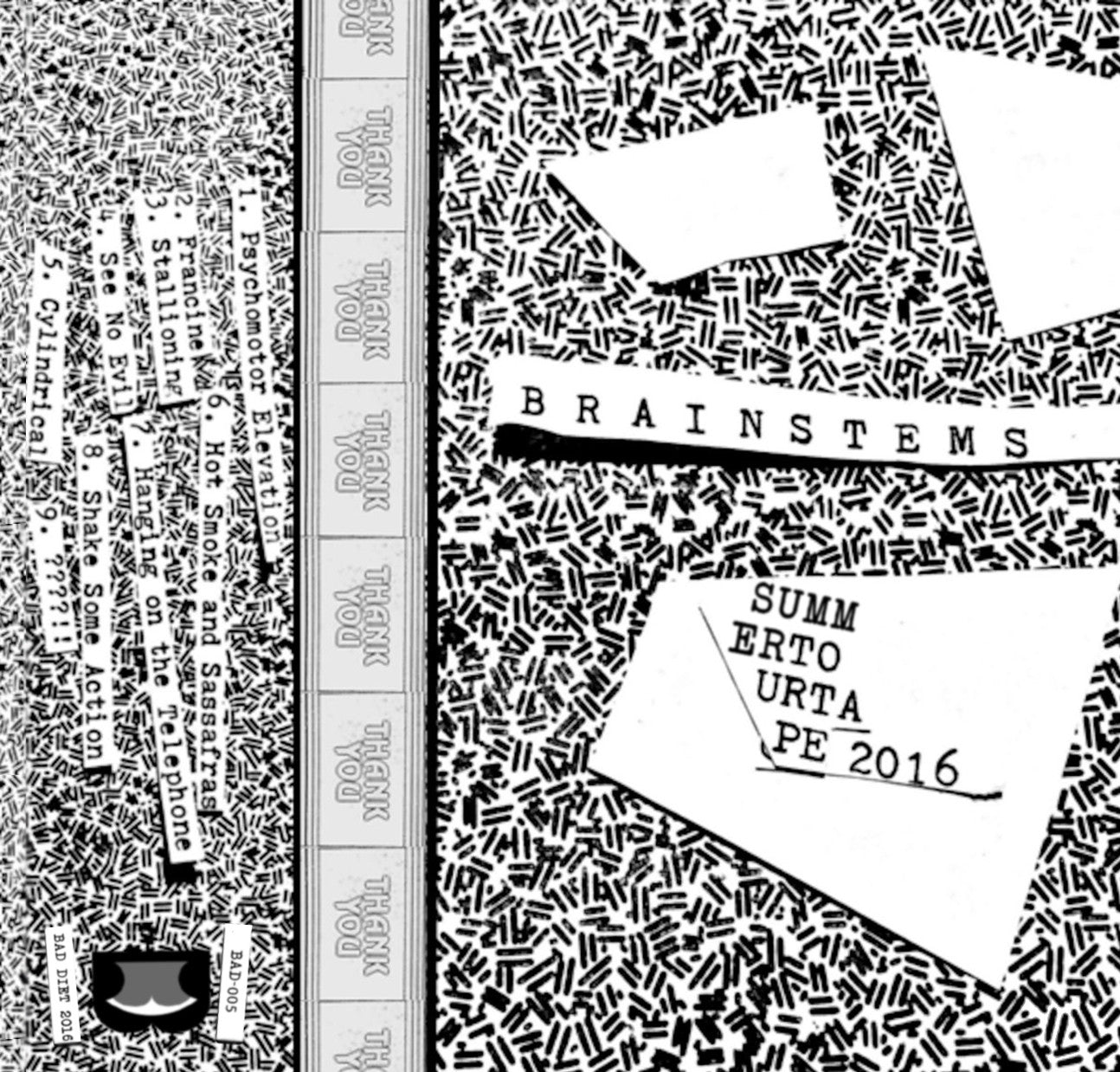 Brainstems - Summer Tour Tape 2016 (INDIE EXCLUSIVE) (Cassette) |