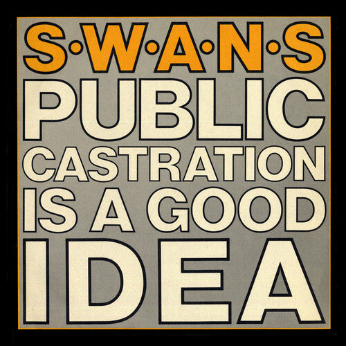 Public Castration Is a Good Idea (Indie Exclusive) | Mint (M) Mint (M) - POST-PUNK *SEALED*