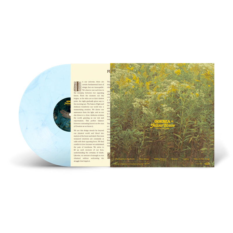 Flaws In Our Design (CLEAR SKY BLUE VINYL) | Mint (M) Mint (M)
