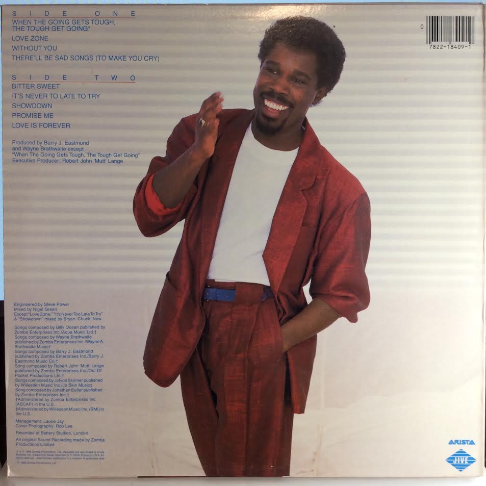 Love Zone (VINYL) | Near Mint (NM) Near Mint (NM) - SYNTH-POP / USED *NEAR MINT*