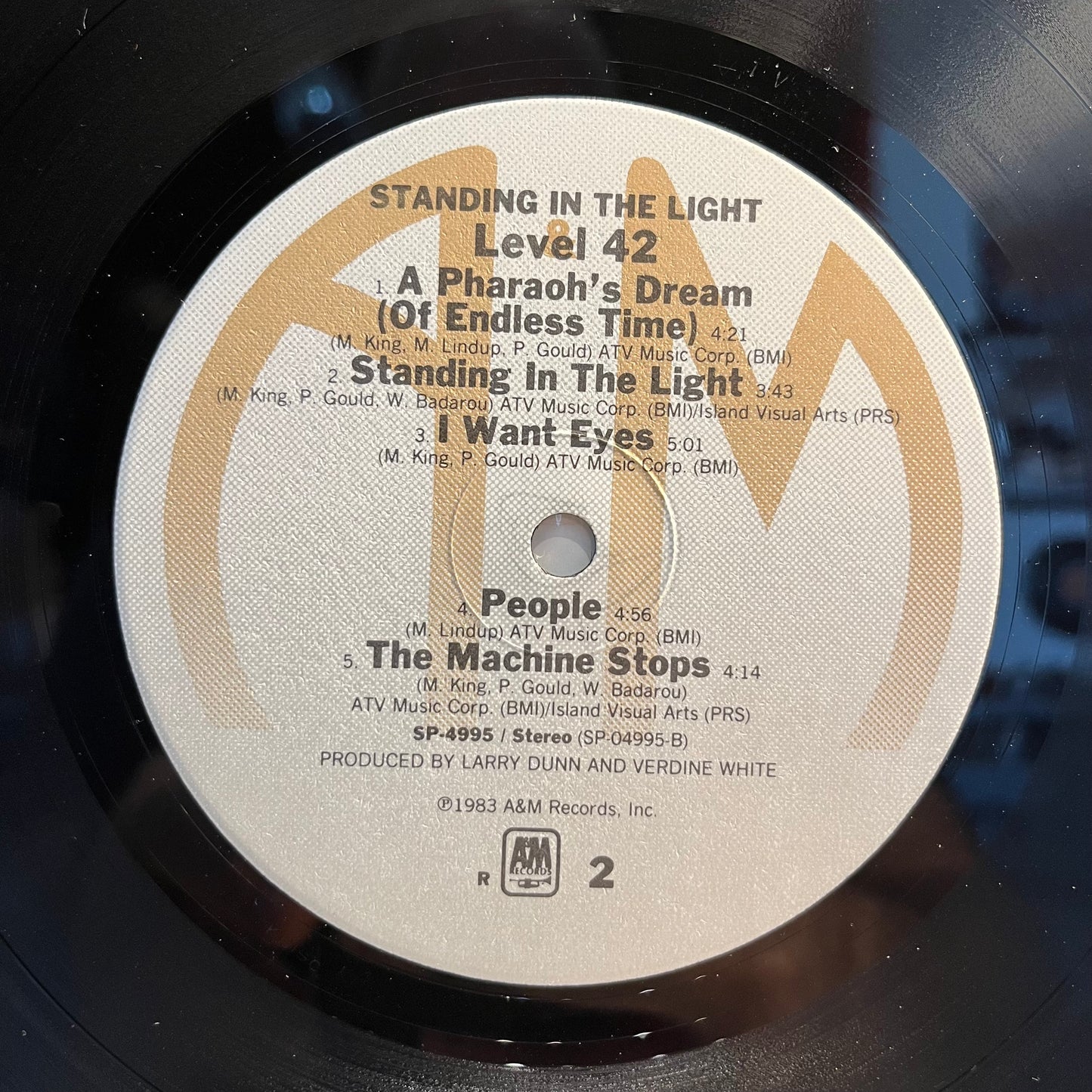 Standing In The Light (VINYL) | Near Mint (NM) Near Mint (NM) - SYNTH-POP / USED *NEAR MINT*