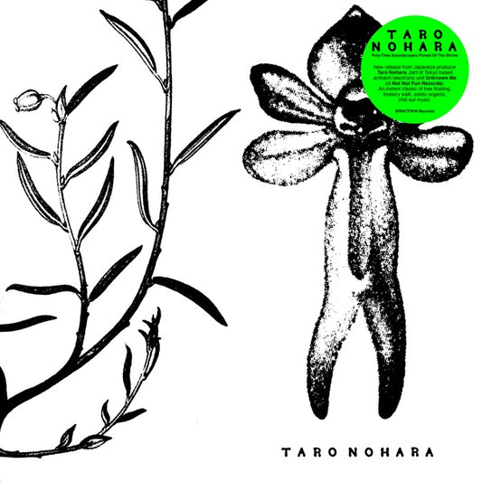Poly-Time Soundscapes / Forest Of The Shrine |