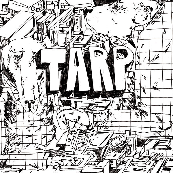 Tarp |