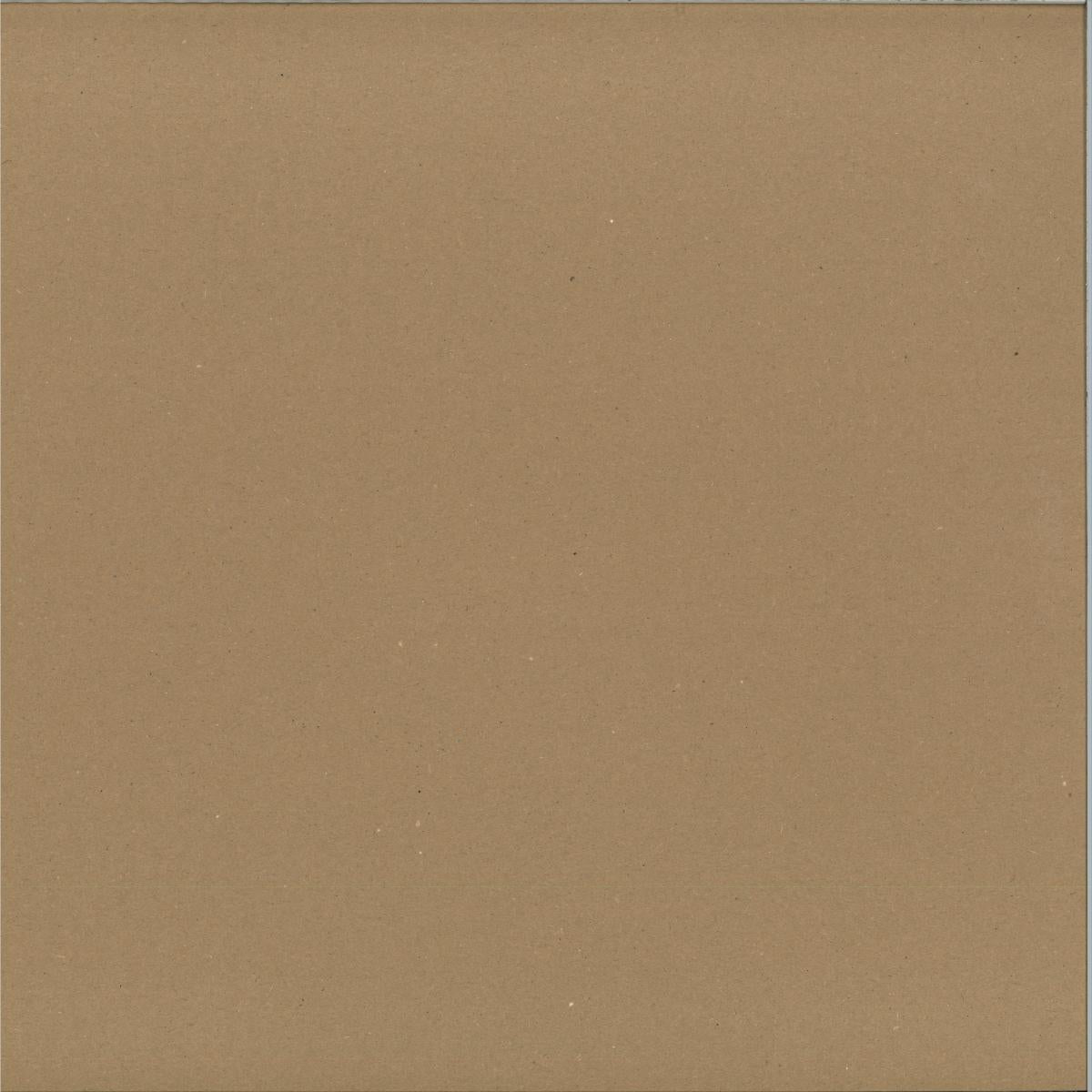 Aedis - salt echoes (VINYL 12" down2earth.world) | NEW - TECH HOUSE *NEW*