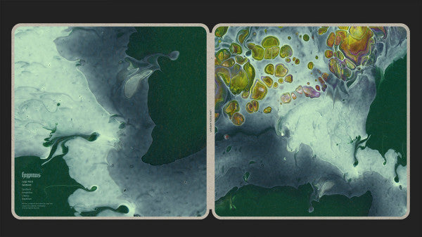 Sentient (VINYL) | Mint (M) Mint (M)