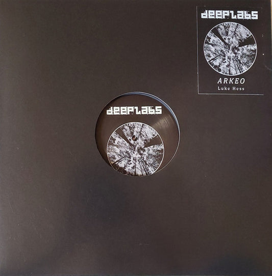Luke Hess - Arkeo (2xGRAY MARBLED VINYL) | Mint (M) Mint (M) - TECHNO/DUB *NEW*