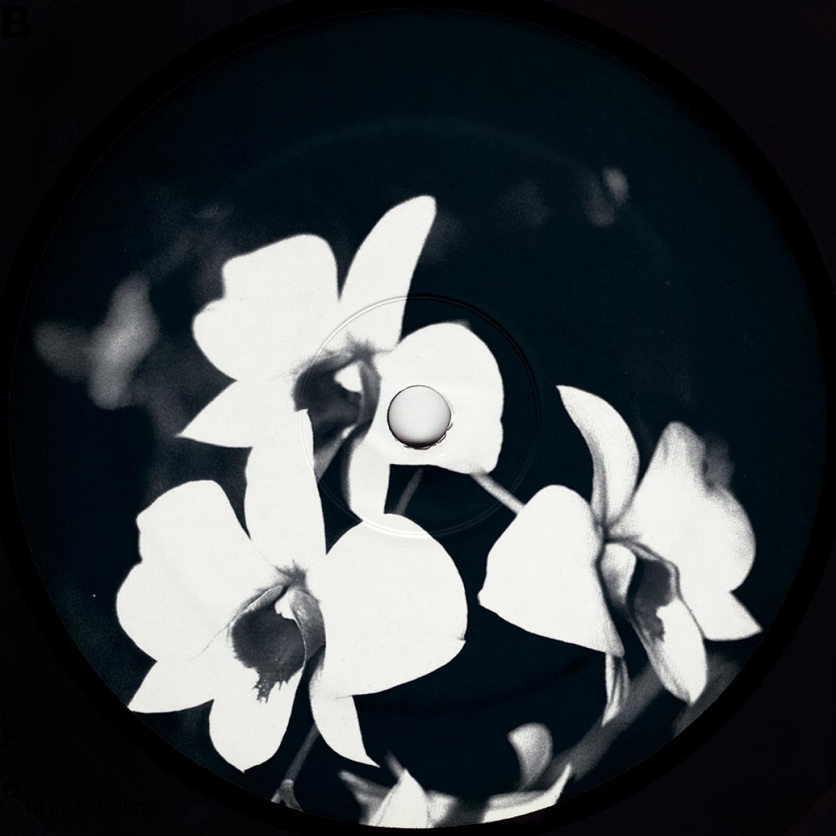 Ovatow - (PRESALE 09/07/26) Phalaenopsis Revisited (VINYL 12" Undacurrnt U2000) | NEW Mint (M) Mint (M) - TECHNO/DUB *NEW*