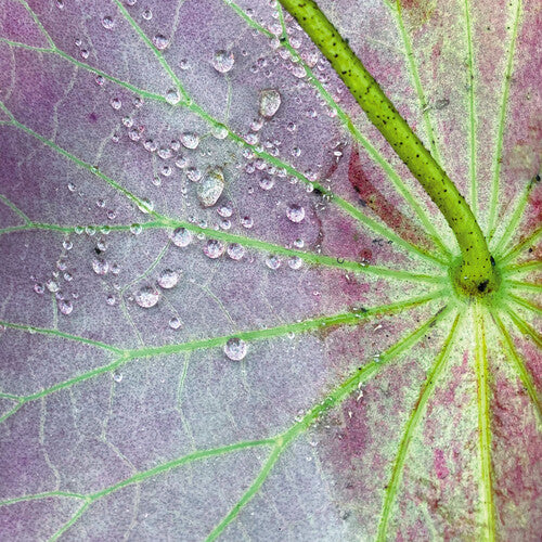 (PRE-ORDER 12/19/2025) Dust 2 (10" VINYL) | - TECHNO/ELECTRO *NEW*