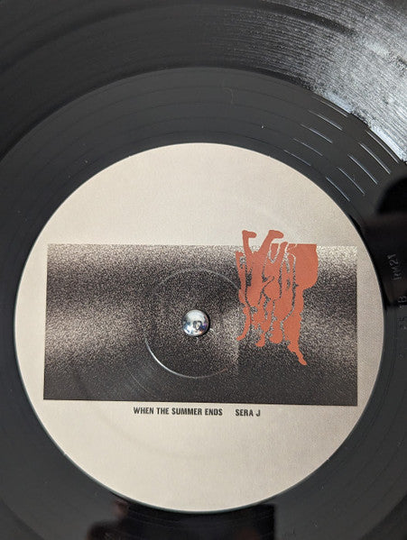 When The Summer Ends (VINYL) | Mint (M) Mint (M) - TECHNO *NEW*