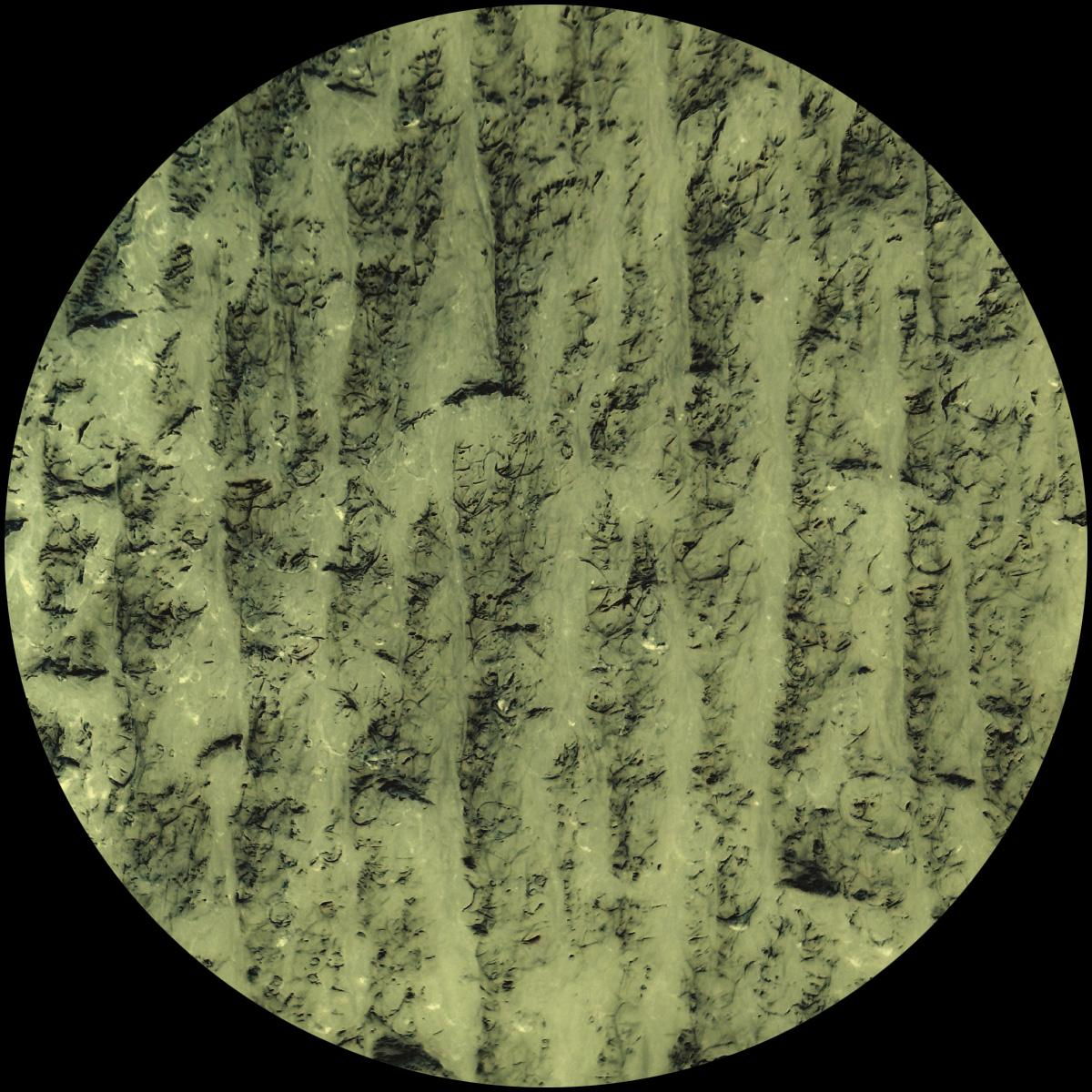 Idu Berg - Dilettantes (VINYL) | Mint (M) Mint (M) - TECHNO *NEW*