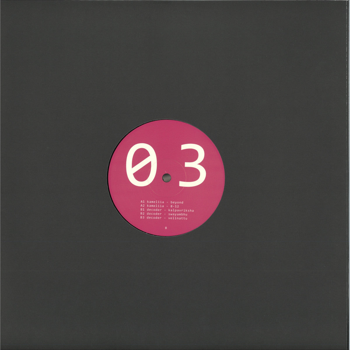 Kameliia / Decoder - AMTK+003 (VINYL 12" Amotik) | NEW - TECHNO *NEW*