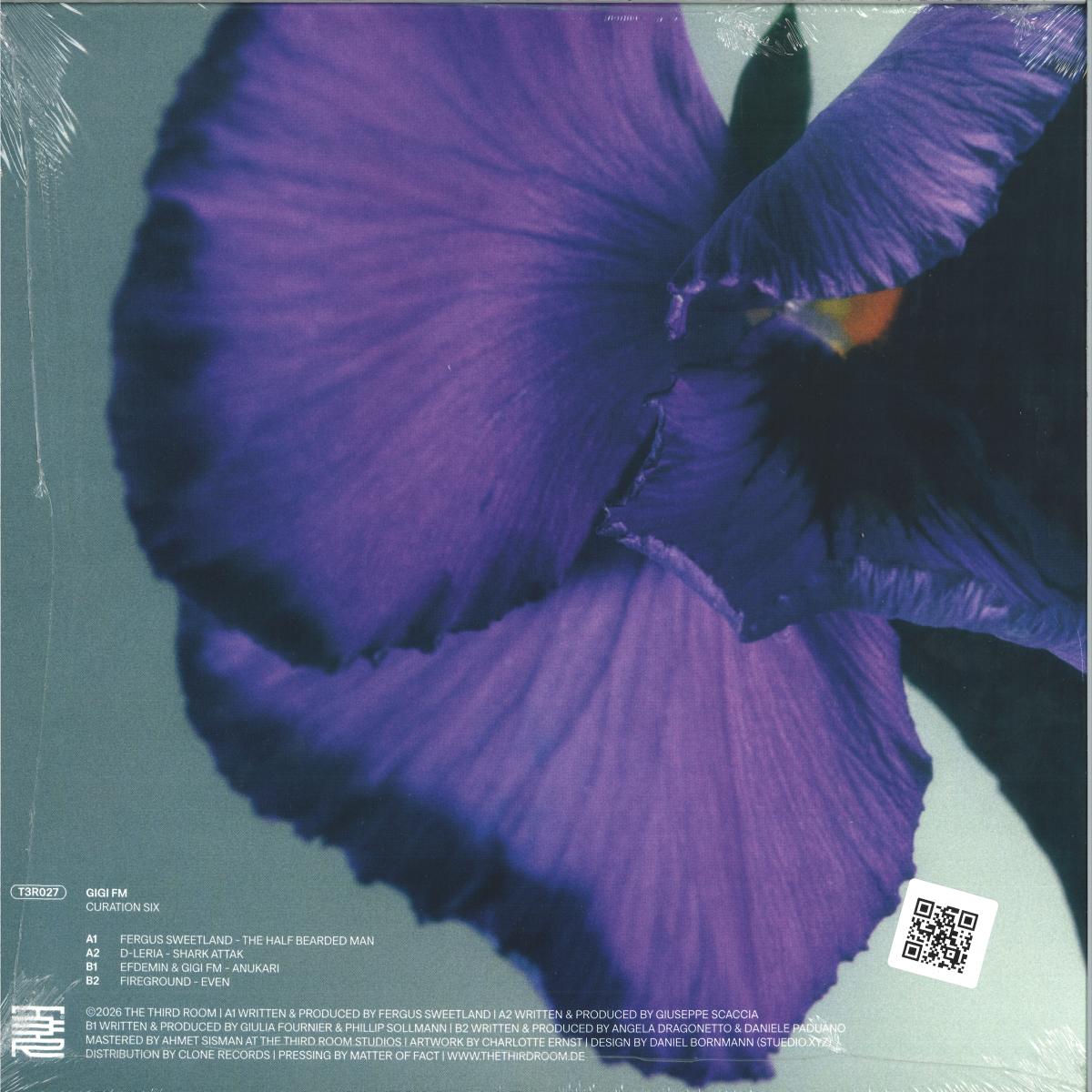 Various - Curation Six: GiGi FM (VINYL 12" The Third Room) | NEW - TECHNO *NEW*