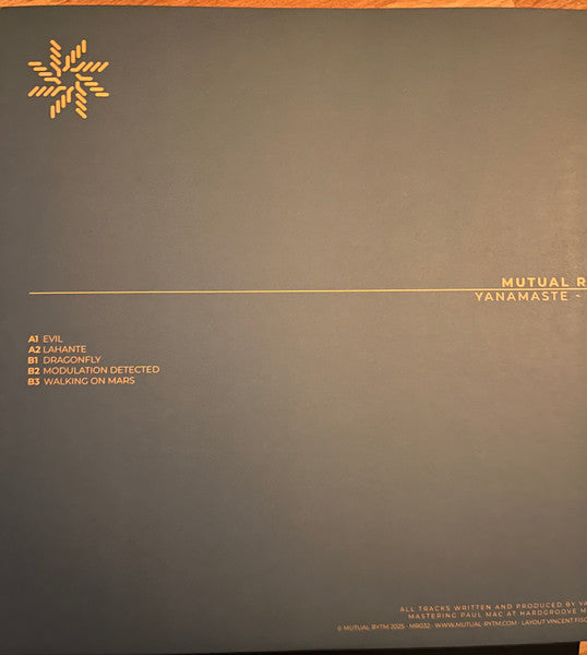 Evil (VINYL) | Mint (M) Mint (M) - TECHNO *NEW*