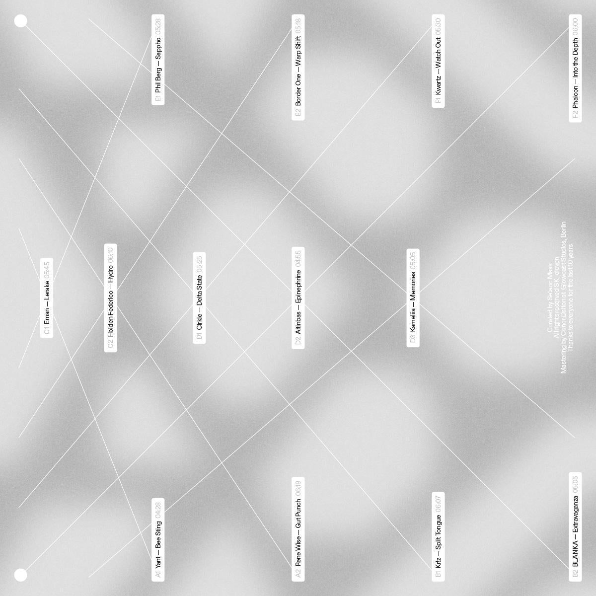 (PRE-ORDER 11/7/25) SK11X 10Y (3x12" Vinyl) | Mint (M) Mint (M) - TECHNO *NEW*