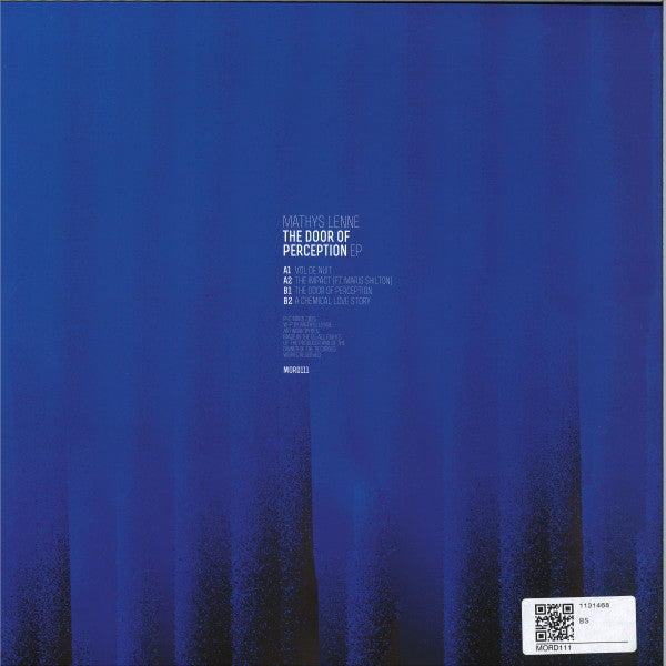 The Door Of Perception EP (VINYL) | Mint (M) Mint (M) - TECHNO *NEW*