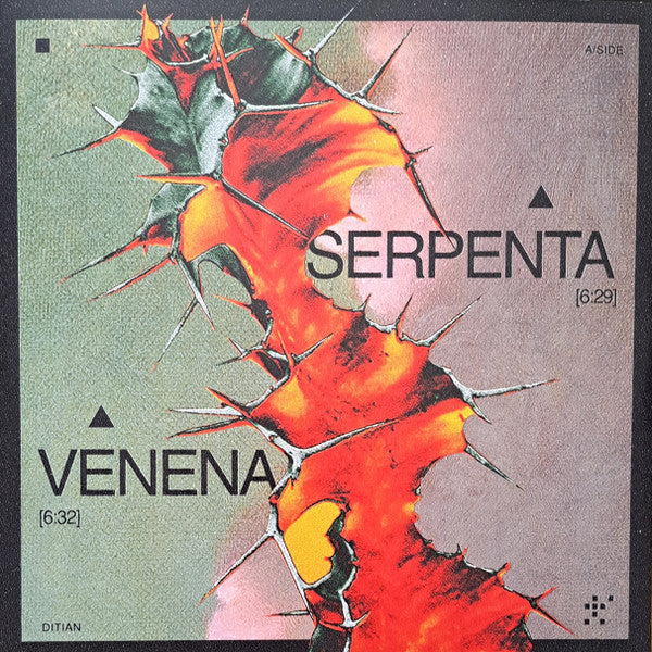 Serpenta | Mint (M) Mint (M)