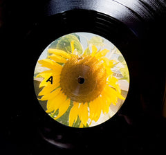 Tess Parks And Those Who Were Seen Dancing Fuzz Club Records LP, Album, Dlx, Bla Mint (M) Mint (M)