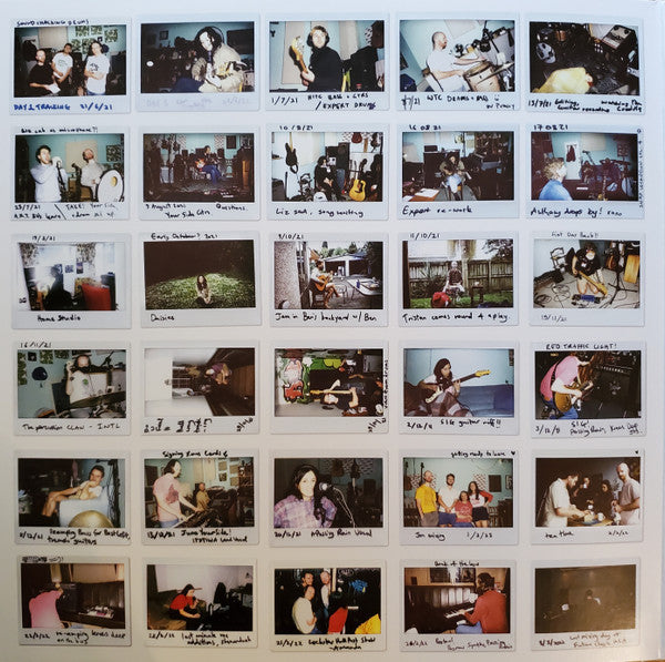 The Beths Expert In A Dying Field Carpark Records LP, Album, Can Mint (M) Mint (M)