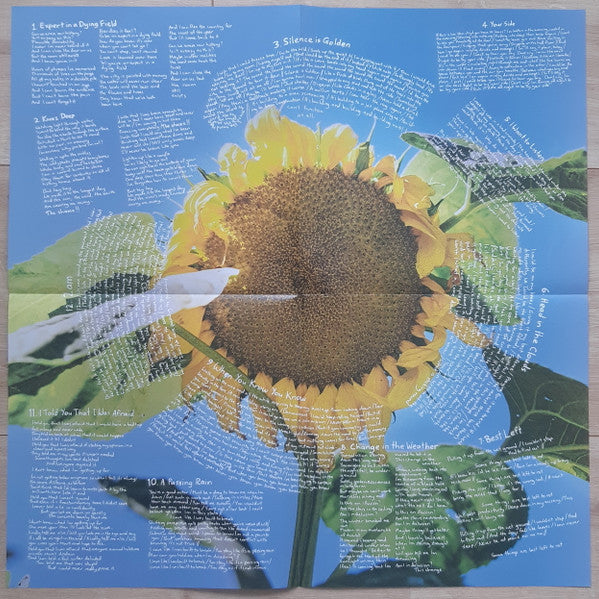 The Beths Expert In A Dying Field Carpark Records LP, Album, Can Mint (M) Mint (M)