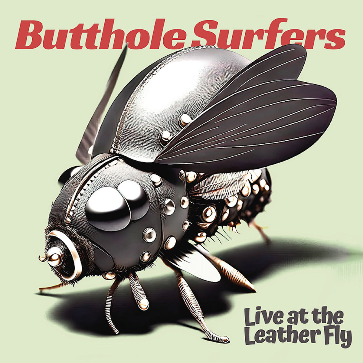 The Butthole Surfers - Live at the Leather Fly (Moon Phase Yellow and Red Colored Vinyl) (2 Lp's) |