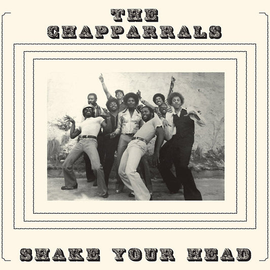 Shake Your Head (VINYL) | Mint (M) Mint (M) - FUNK *NEW*