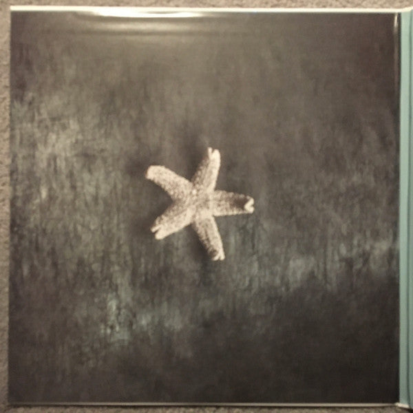 Starfish | Mint (M) Mint (M)