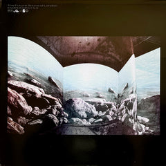 The Future Sound Of London Environment 6.5 fsoldigital.com LP, Album Mint (M) Mint (M)