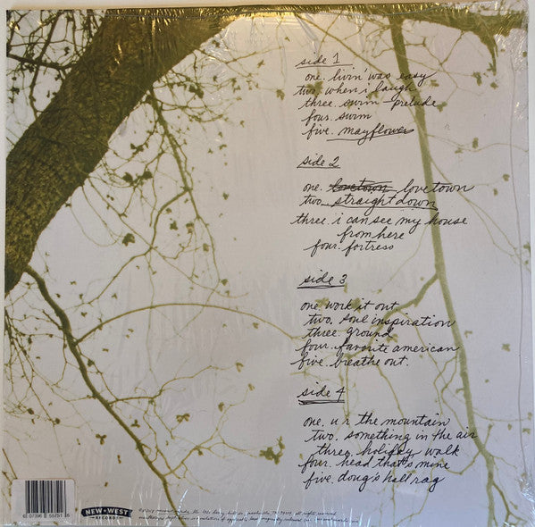 The Glands | Mint (M) Mint (M) - ALT/INDIE *SEALED/COLOR*