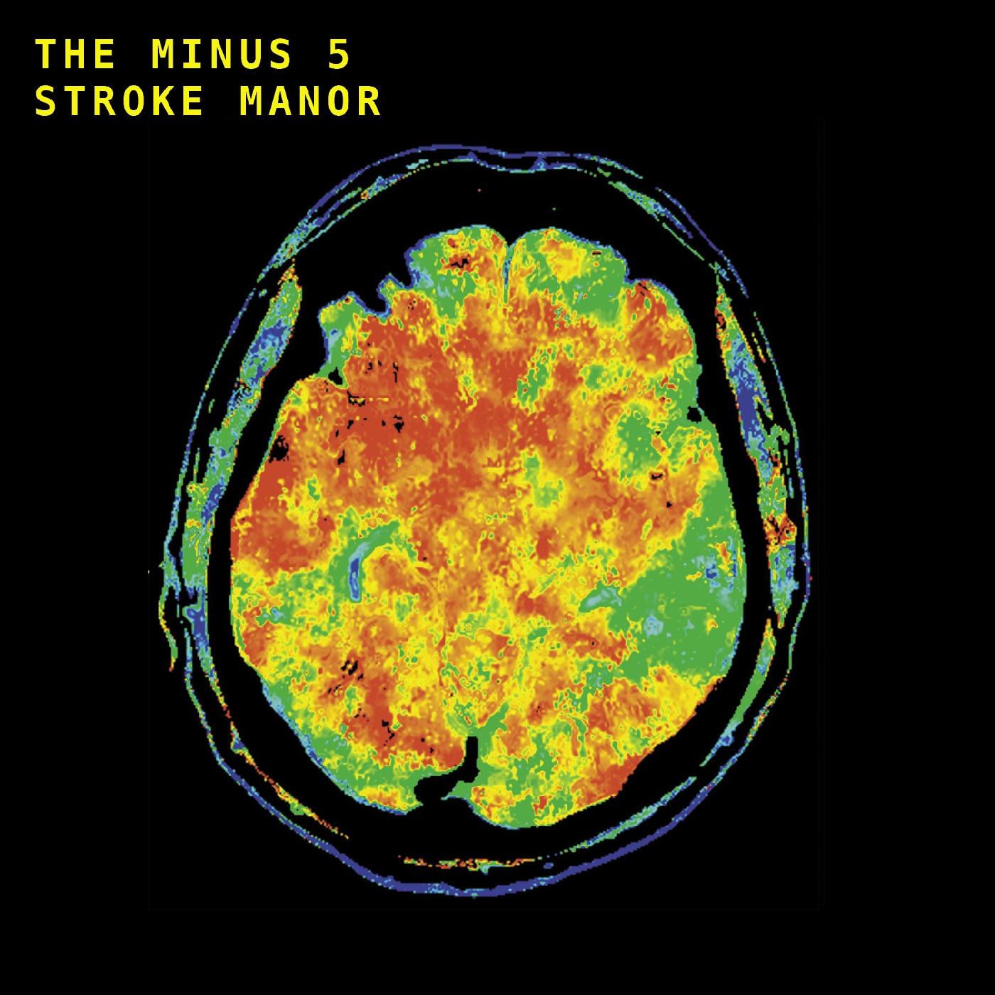 Stroke Manor (VINYL) | Mint (M) Mint (M) - ROCK *NEW*