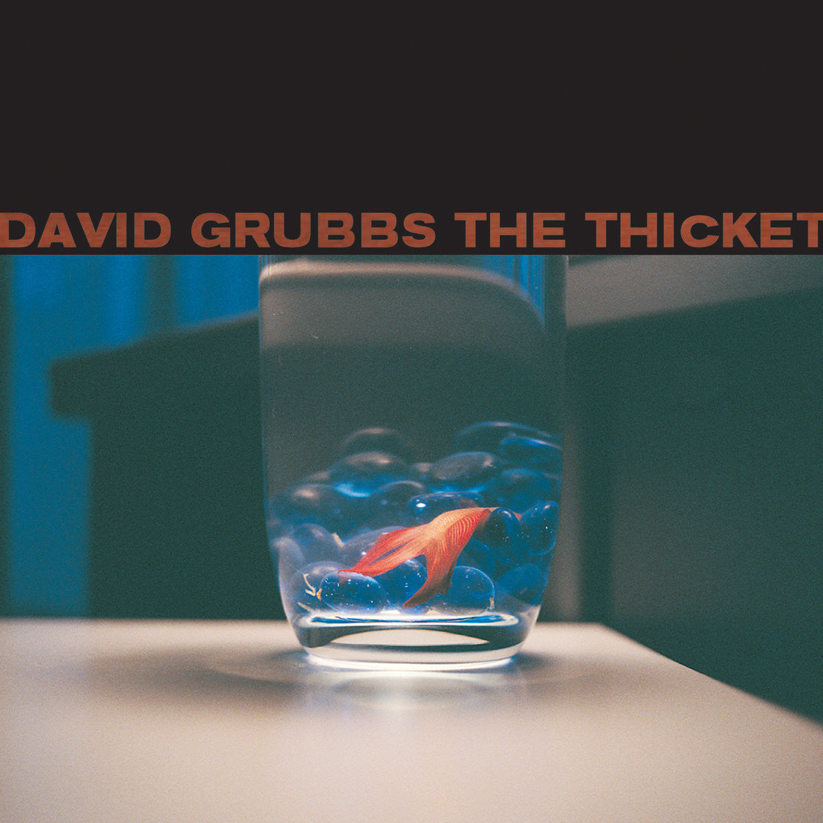 Grubbs, David - The Thicket (CD) |