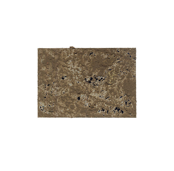 Not A Bird / Transcarnation One |