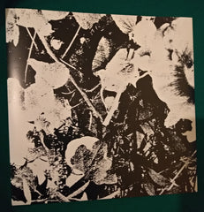 Throwing Muses Sun Racket Fire Records LP, Ltd, Mon Mint (M) Mint (M)