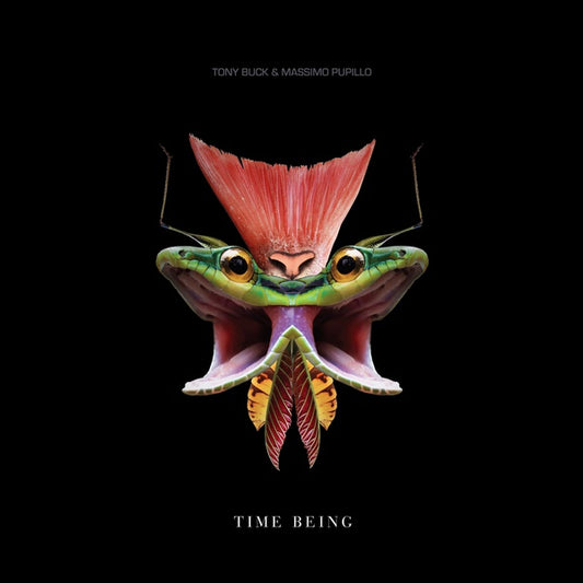 Time Being |