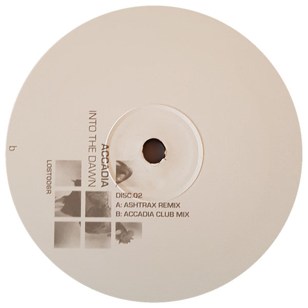 Into The Dawn (VINYL) | Excellent+ (EX+) Excellent (EX) - TRANCE/BREAKS / USED *EXCELLENT+*