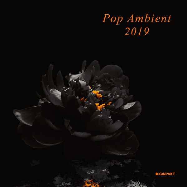 Pop Ambient 2019 |