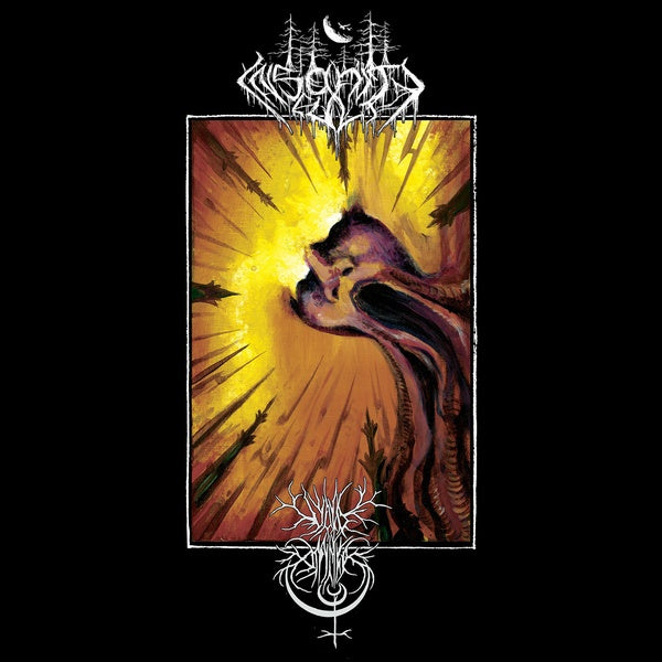 VOID OMNIA/INSANITY CULT - Split |