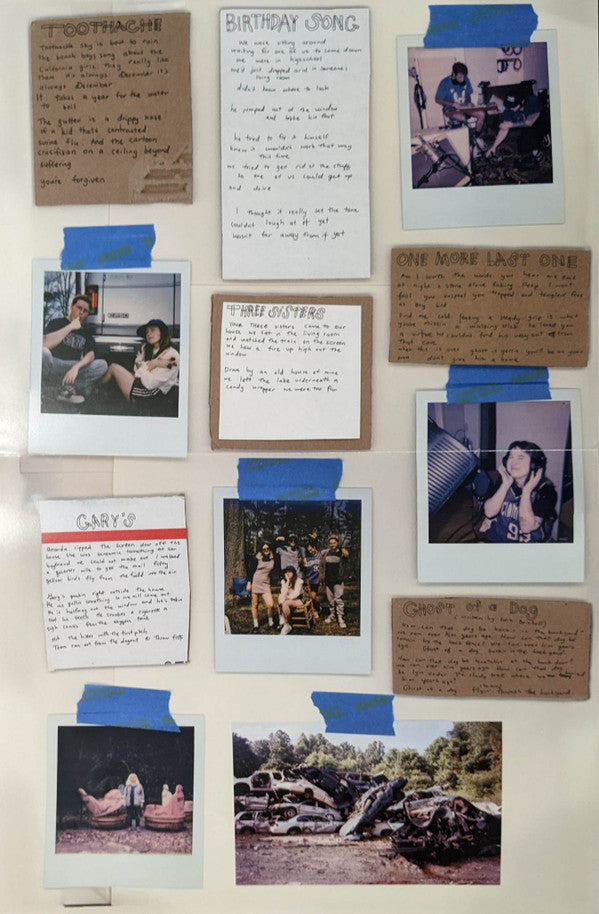 Twin Plagues | Mint (M) Mint (M) - ALT/INDIE *SEALED*