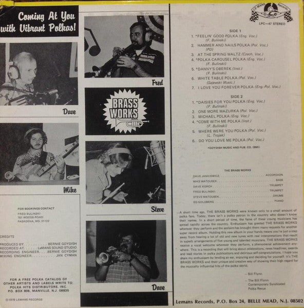 Coming At You With Vibrant Polkas! (VINYL) | Near Mint (NM) Near Mint (NM) - WORLD/POLKA / USED *NEAR MINT*