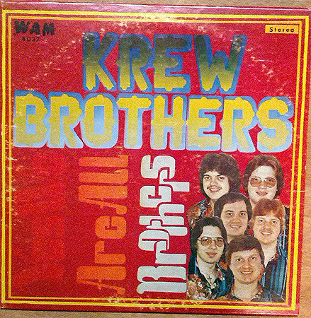Yes We Are All Brothers (VINYL) | Near Mint (NM) Near Mint (NM) - WORLD/POLKA / USED *NEAR MINT*